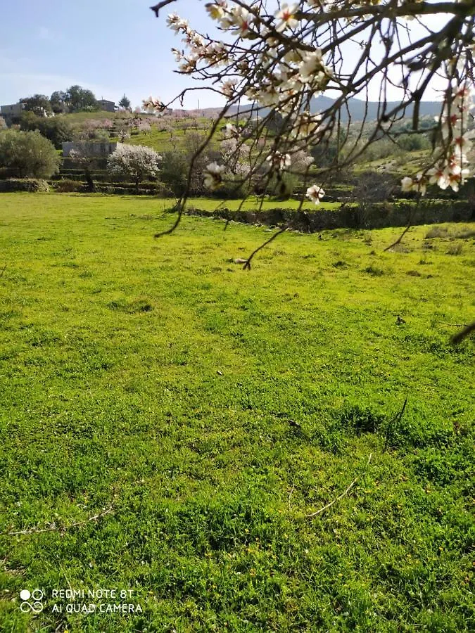 Сasa de vacaciones Villa Casa La colina mandarina I Tahal