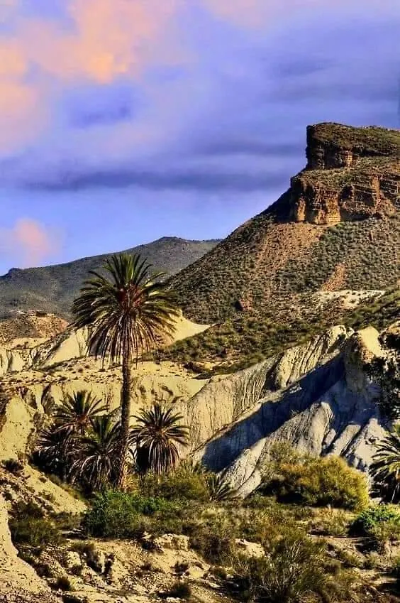 Villa Casa La colina mandarina I Tahal Сasa de vacaciones