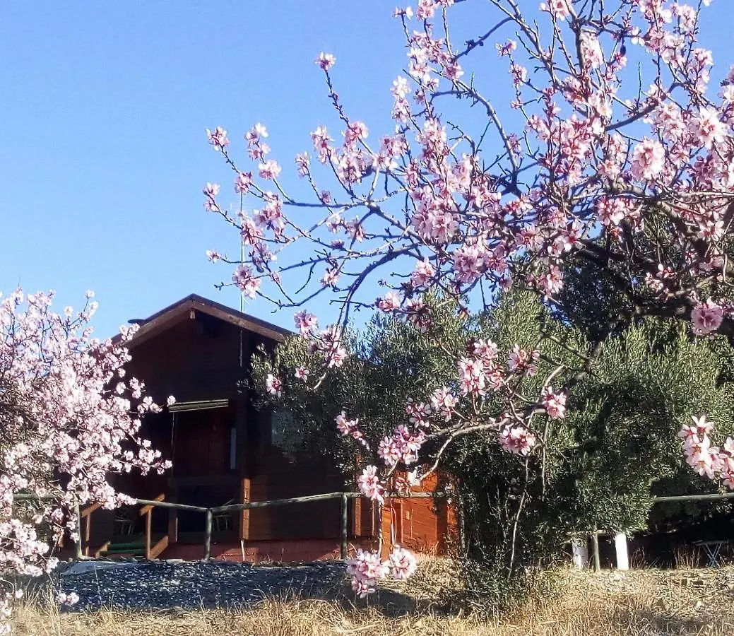 Villa Casa La colina mandarina I Tahal