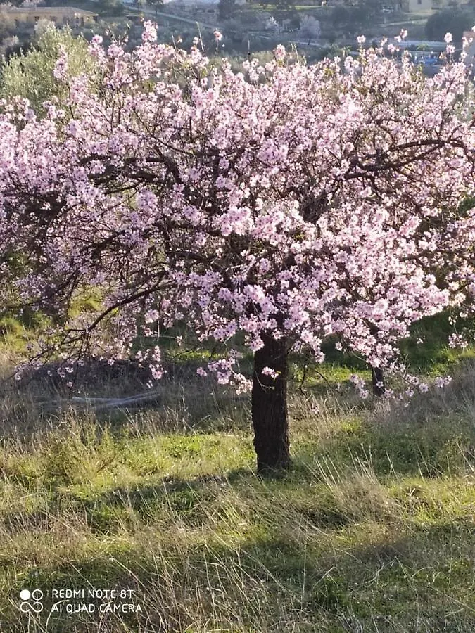 فيلا Casa La Colina Mandarina I Tahal 0*,  إسبانيا