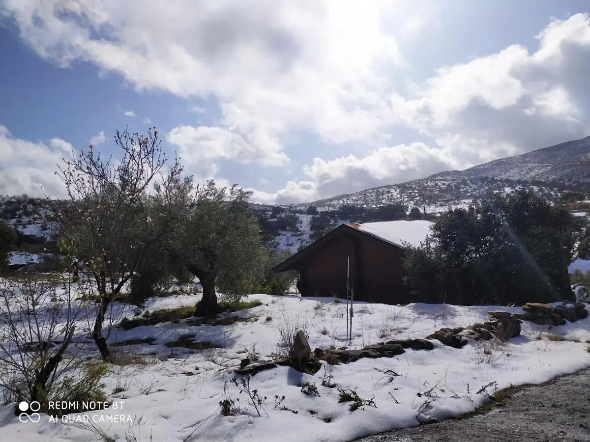 Holiday home Casa La Colina Mandarina I Villa Tahal