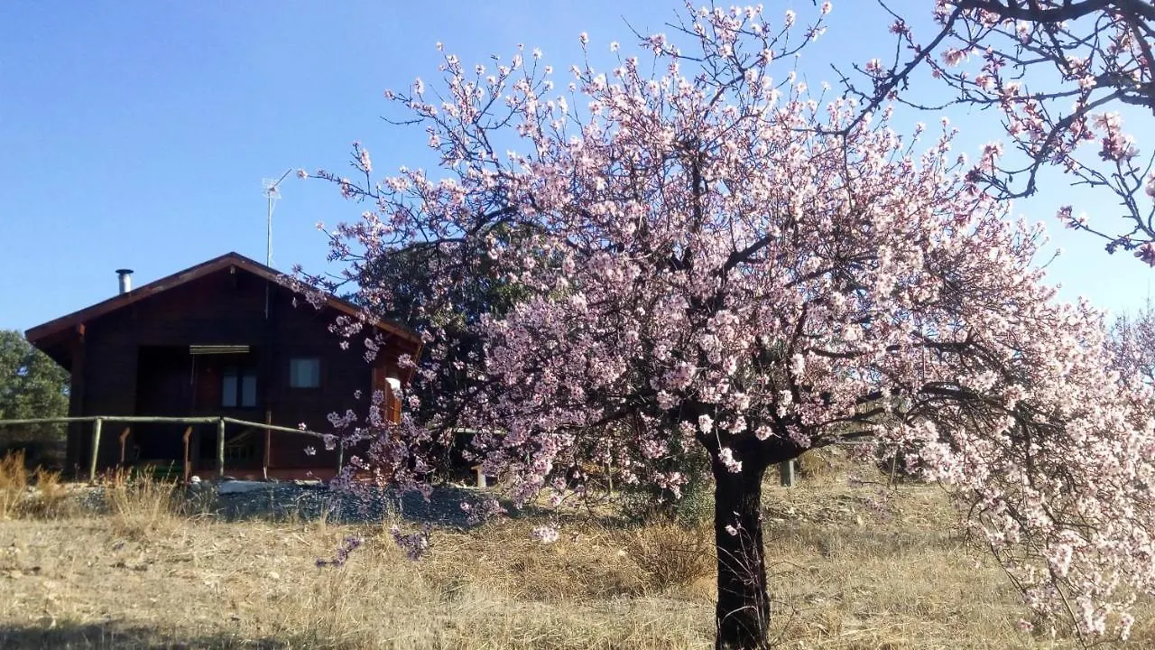 Holiday home Casa La Colina Mandarina I Villa Tahal Spain